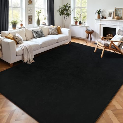 AROGAN 6x9 Area Rugs for Living Room Non Slip Dorm Bedroom Rug, Black by AROGANAREARUG