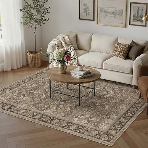 HUGEAR 5x7 Washable Area Rug for Living Room by HUGEAR