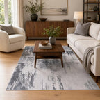 Area Rug 4x6 Dark Grey Rug Washable Boho Rugs Non Slip Low Pile Abstract Small Carpet for Entryway, Bedroom, Kitchen, Classroom, Kids Room, Office, Dorm, Dining Room by OmpaaHomeDecor