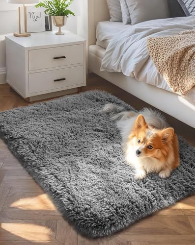 Ophanie Small Rug Upgrade Non Slip Throw Bedside Area Rugs, Fluffy Soft Grey Mini Bedroom Carpet, Affordable Door Entryway Indoor Inside Front Entrance Dog 2x3 Mat, Home Decor Aesthetic, Nursery by Ophanie