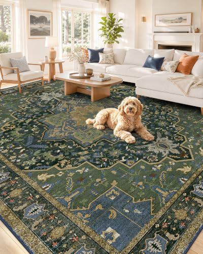 OLANLY 8x10 Washable Area Rug, Soft Non Slip Carpet for Bedroom Living Room by OLANLY