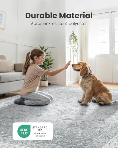 Amada 5x7 Washable Area Rug for Living Room, Silver/Gray, Vintage Pattern - Image 3