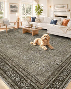 OLANLY 8x10 Washable Area Rug, Soft Non Slip Carpet for Bedroom Living Room by OLANLY