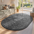 Ophanie 4x6 Oval Grey Rugs for Bedroom Living Room, Fluffy Fuzzy Furry Carpet, Plush Soft Shaggy Bedside Indoor Floor Area Rug for Girls Boys Teen Dorm Decor with Over 99 pcs Pile fibers by Ophanie