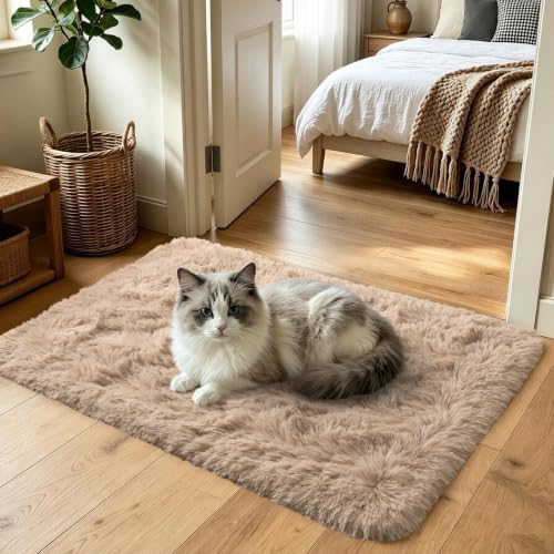 2x3 Beige Fluffy Soft Area Rug Non-Slip for Entryway Bedroom Dorm Hallway - Image 2