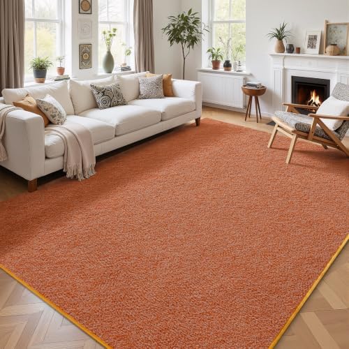 AROGAN 5x7 Area Rugs for Living Room Non Slip Dorm Bedroom Rug, Orange by AROGANAREARUG