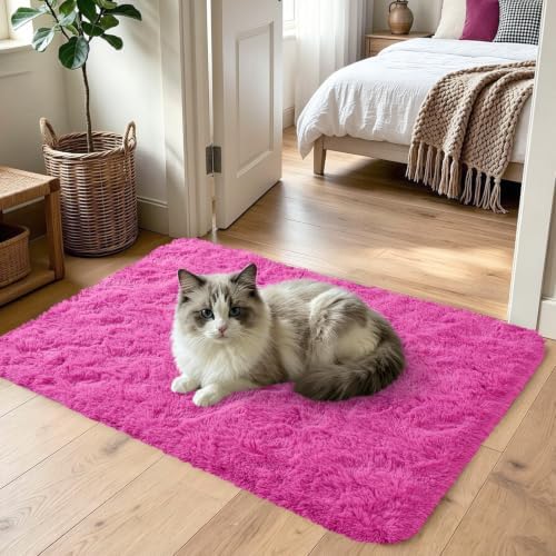 Noahas 2x3 Hot Pink Fluffy Soft Area Rug Non-Slip for Kids Bedroom Nursery - Image 2