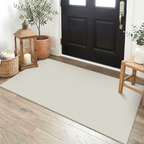 EARTHALL Washable Runner Rug, Non Slip Doormat, 2x4 Ft, Cream/Grayish by Unknown
