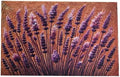 Outdoor Rug Door Mat, Welcome Mat, Non-Slip, 19'x31' (Lavender) by COMCONHMY