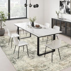 Area Rug Living Room: 4x6 Modern Washable Soft Carpet Ash Brown - Image 4