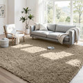 4x6 Fluffy Shag Area Rugs for Living Room Bedroom: Soft Carpet Gray Camel by CarpetAddColortoYourLife