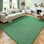 AROGAN 5x7 Area Rugs for Living Room Non Slip Dorm Bedroom Rug, Matte Green by AROGANAREARUG