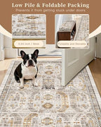 Madane 5x7 Area Rugs for Living Room, Non-Slip Washable Rug, Brown/Gold - Image 6