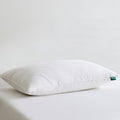 Three Geese White Goose Feather Down Pillows Queen Size Set of 1-100% Cotton, Medium Firm,Soft Support