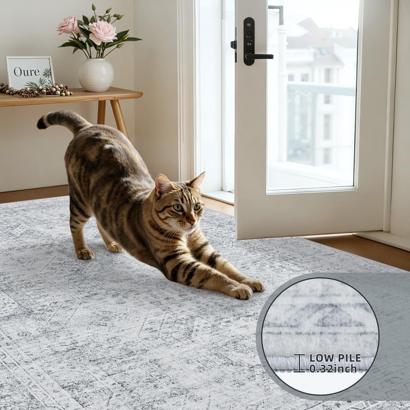 Washable Area Rugs 2x3: Neutral Living Room Bedroom Carpet Gray - Image 6