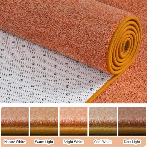 AROGAN 3x10 Runner Rug for Hallway, Long Runner Rugs Non Slip, Orange - Image 2