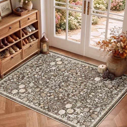 SameBed 3x5 Area Rug Living Room, Vintage Washable Carpet Dark Brown by SameBed
