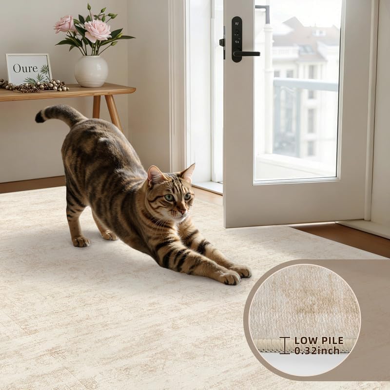 Round Area Rug Living Room: 8ft Washable Carpet Retro Beige - Image 6