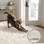 Round Area Rug Living Room: 6ft Washable Carpet Beige White - Image 6