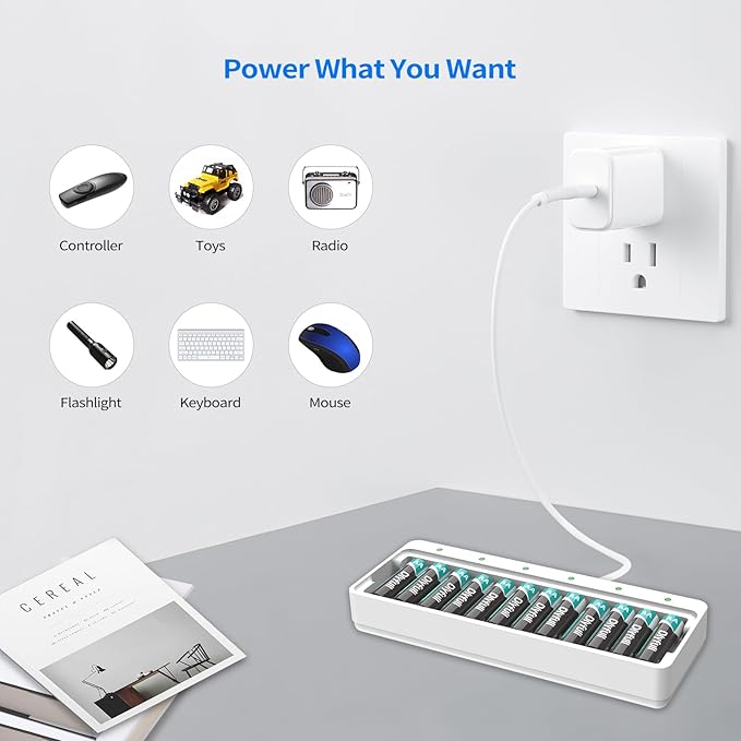 Dlyfull 12 Bay AA AAA Battery Charger, USB and Type-C Selectable High-Speeding Charging for Ni-MH Ni-CD Rechargeable Batteries, USB Cable Included