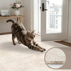 Washable Area Rugs 2x3: Neutral Living Room Bedroom Carpet Beige - Image 6