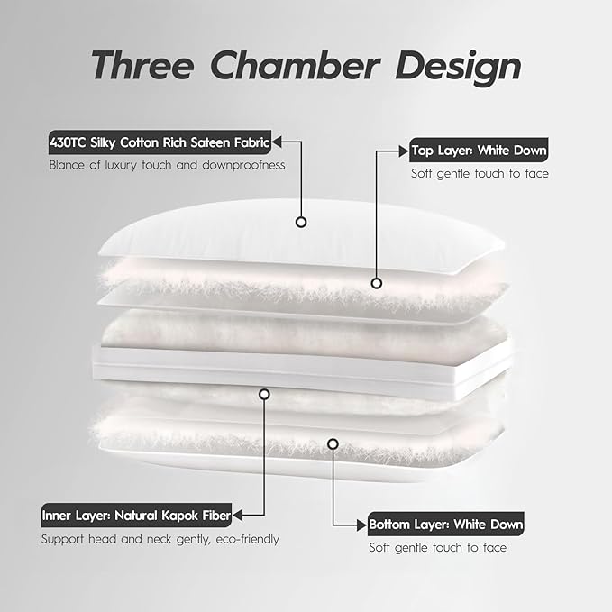 Globon Luxury Down Pillow Queen Size, Firm Hotel Collection Bed Pillow with 100% Cotton Cover, Down Surrounded Feather Pillow, 20x30 Inches (1 Pack)