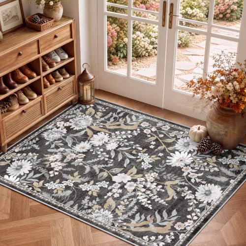 SameBed 3x5 Area Rug Living Room, Vintage Washable Carpet Black Gray by SameBed