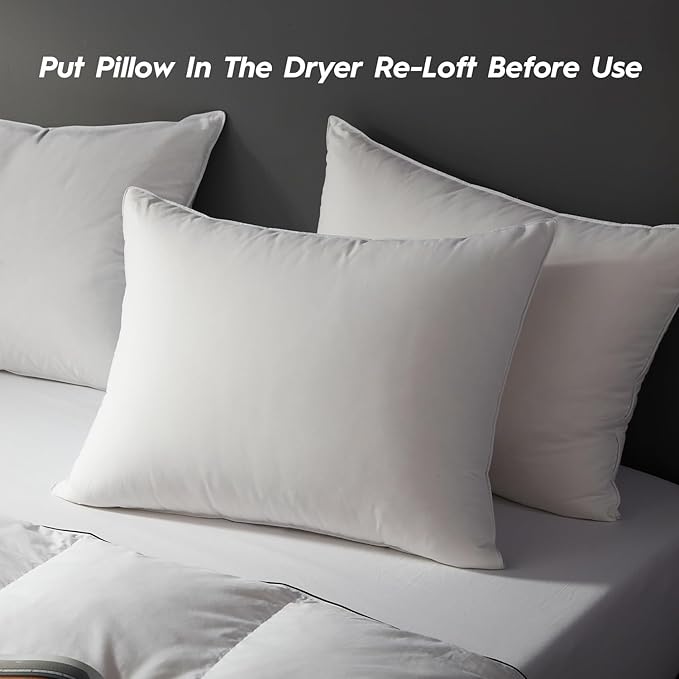 Globon Ultra Soft Down Pillow Queen Size, All Down Filled Bed Pillow for Sleeping, 100% Cotton Shell 500 Thread Count 700 Fill Power, Soft Hotel Collection Down Feather Pillow 20" x 30" 1 Pack