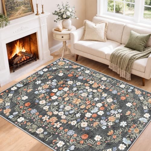 SameBed 4x6 Area Rug Living Room, Vintage Washable Carpet Carbon Gray by SameBed