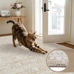 6x9 Area Rugs Living Room: Bedroom Washable Carpet Natural Beige - Image 7