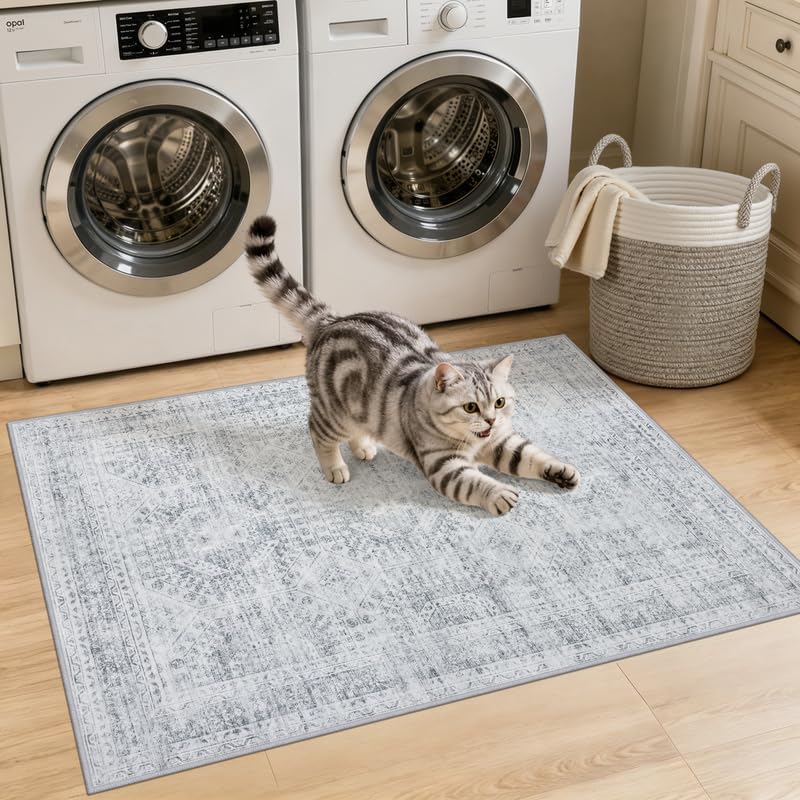 Washable Area Rugs 2x3: Neutral Living Room Bedroom Carpet Gray - Image 2