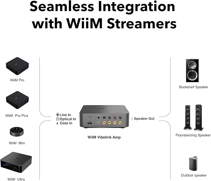 WiiM Vibelink Amp | 100W Power Amplifier with Premium ESS 9039Q2M DAC and TI TPA3255 | Compatible with WiiM Mini, Pro, Pro Plus, and Ultra | RCA, Coax, and Optical Inputs | Space Gray