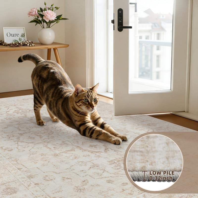 6x9 Area Rugs Living Room: Bedroom Washable Carpet Warm Beige - Image 7