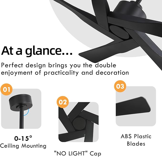 WINGBO 64" ABS DC Ceiling Fan No Light, 5 Blade ABS Plastic Ceiling Fan with Remote, 6-Speed Reversible DC Motor, Ceiling Fans without Light for Kitchen Bedroom Living Room, Matte Black