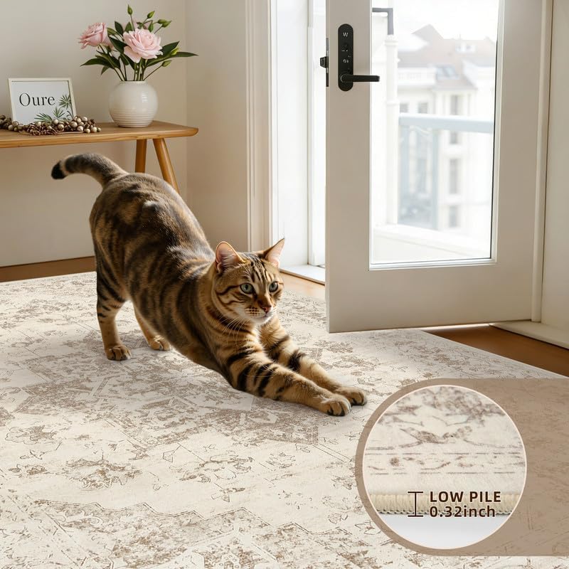 3x5 Area Rugs Living Room: Bedroom Washable Carpet Beige/Ivory - Image 7