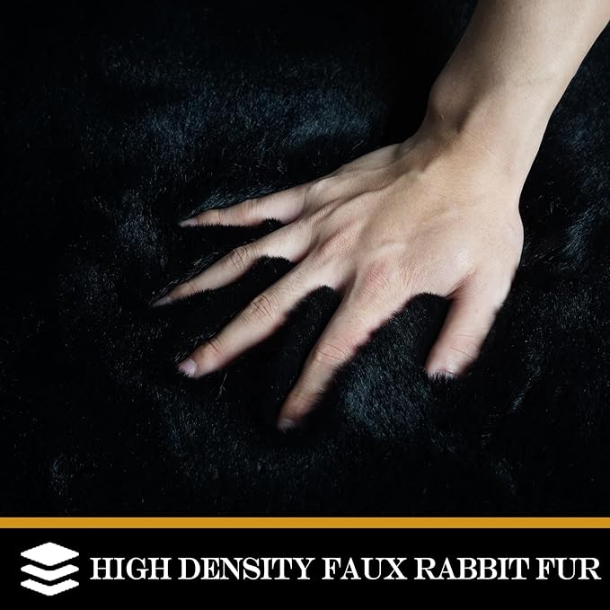Latepis Small Black Fluffy Rug 2x3 Throw Faux Rabbit Fur Soft Rug Washable Furry Shag Rugs for Bedroom, Dorm, Nursery, Chair Seat Cover, Shaggy Cute Rugs for Room