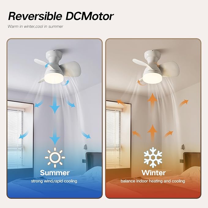 Myleoron 20 Inch Ceiling Fan with Light, 3 ABS Blades, White Small Ceiling Fan with Remote Control, Suitable for Living Room, Dining Room, Bedroom