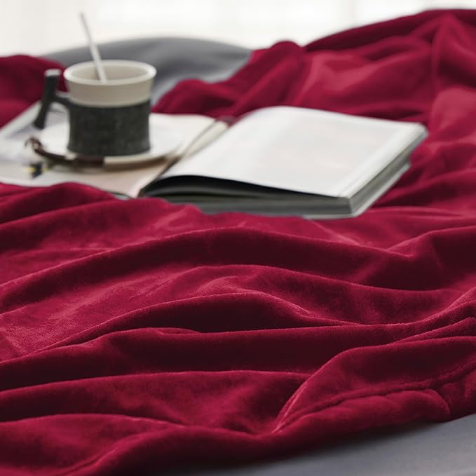 Bedsure GentleSoft Fleece Blanket Twin Size Red - 300GSM Lightweight Plush Fuzzy Cozy Soft Warm Blanket for Bed, Sofa, Couch, Travel, Camping, 60x80 inches