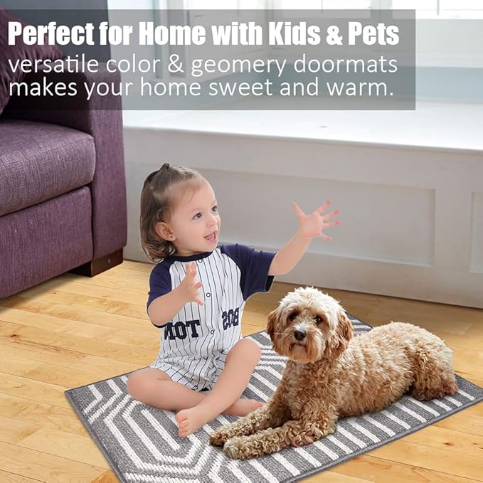 Indoor Doormat 24"x 36", Absorbent Front Back Door Mat Floor Mats, Rubber Backing Non Slip Door Mats Inside Mud Dirt Trapper Entrance Door Rug Carpet, Machine Washable Low Profile-Grey Time Cloister