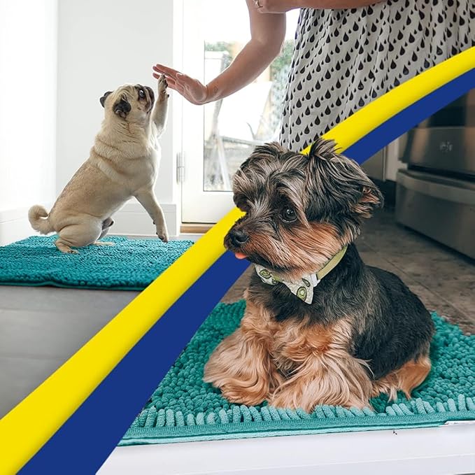 Muddy Mat® | Super Absorbent Door Mat Indoor, Microfiber Quick Dry Chenille Entryway Rug, Non-Slip Front Door Mat, Indoor Mats for Entryway, Machine Washable Pet Rug, Teal 35"x60"