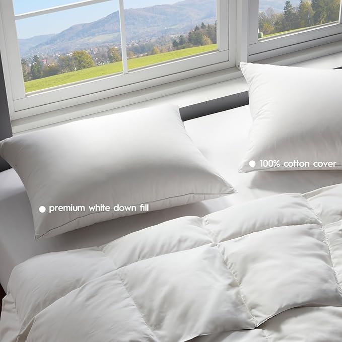 Globon Ultra Soft Down Pillow Queen Size Set of 2, All Down Filled Bed Pillow for Sleeping, 100% Cotton Shell 500 Thread Count 700 Fill Power, Soft Hotel Collection Down Feather Pillow 20" x 30"