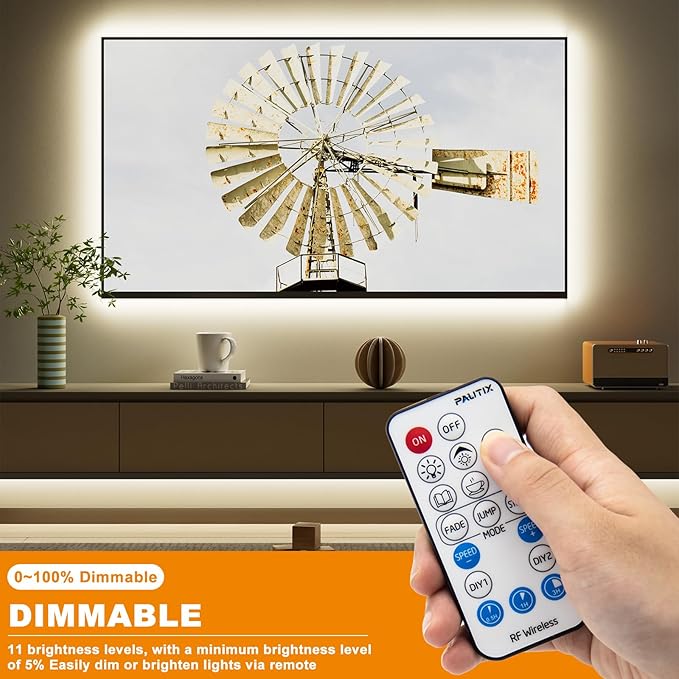 PAUTIX RF Remote Dimmer for Single Color LED Strip Lights,18-Key Wireless Remote and in-line Controller DC 12V-24V for 3528/2835/5050/COB LED Tape Lights,Timer Function