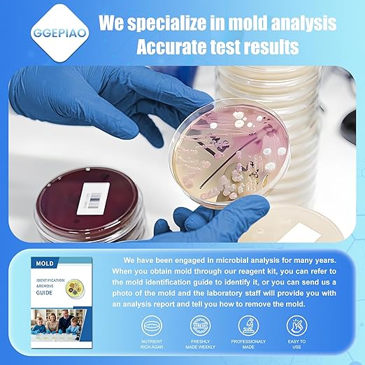 Mold Test Kit for Home,14 Simple Detection Tests,Test HVAC System,Home Surfaces, Indoor Air Quality Testing,DIY Mold Detector,Includes Detailed Mold Identification Guide,Black Mold Testing kit