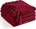 Chenille Throw Blanket for Couch 50"X 60", Soft Cozy Throws with Fringe Tassel for Bed Sofa Chair Cover, Lightweight Knitted Decorative Boho Blankets for Living Room, Red