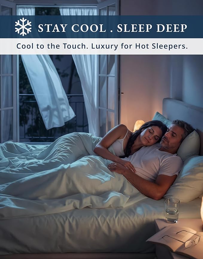 LANE LINEN 100% Egyptian Cotton Bed Sheets Twin XL - 1000 Thread Count, Soft & Comfy Luxury Hotel Thick Bedding Sheets & Pillowcase Set, Machine Wash Cooling 15'' Twin XL Deep Pocket Sheet Set-Silver