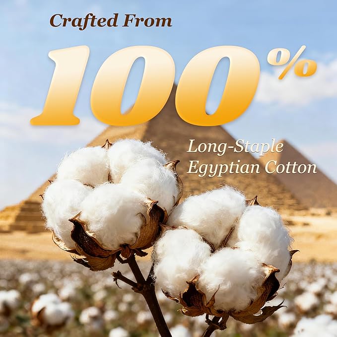 LBRO2M 1000 Thread Count 100% Egyptian Cotton Sheets Set Queen Size, 4 Piece Sets Bed Sheet Deep Pocket Sheet Set 16" Soft Comfortable All Season (Queen, Cream)