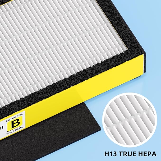Hfunmo Filter B, FLT4825 Filter Replacement for Guardian AC4825 AC4825E AC4300 AC4800 Air Purifier – 6 True HEPA Filters & 6 Pre-Filters (6-Pack)
