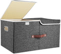 TYEERS Extra Large Collapsible Storage Bins with Lids and Compartments, Washable, Fabric Storage Boxes, 21.7x13x11.8 inches, 1 Pack, Black