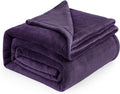 Bedsure GentleSoft Fleece Blankets Queen Size Purple - Bed Blanket Soft Lightweight Plush Fuzzy Cozy Luxury Microfiber, 90x90 inches