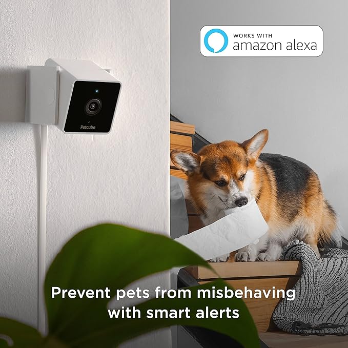 Petcube Cam Indoor Home Security Camera with 1080p HD Video, Two-Way Audio, Motion Detection, and Phone App, Night Vision Wi-Fi Camera for Apartment Security, Video Baby Monitor